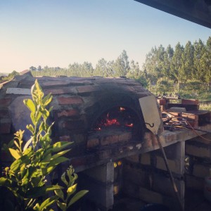 The wood fire oven on The Food Farm